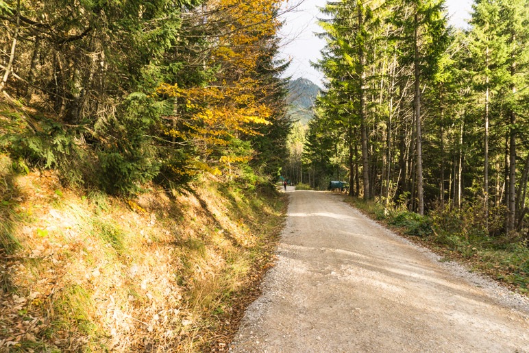 Plötzlich kommt die Sonne heraus und es gibt einen Anflug von Indian Summer auf dem Trautweinweg