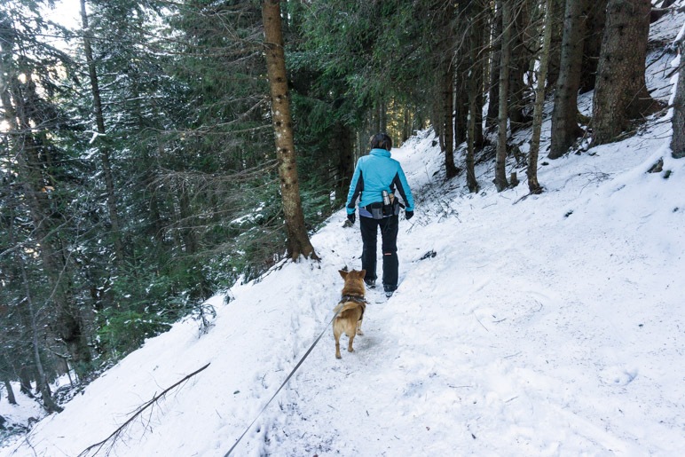 … in den Wald und zurück zum Abzweig 