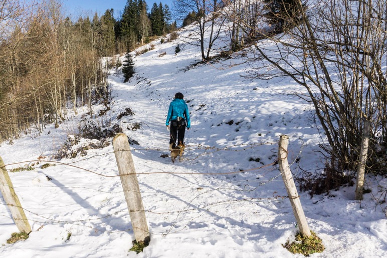 Weiter bergauf, mal auf breitem Weg, dann schmal und steil