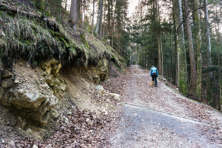 Zu Beginn geht es auf breitem Weg bergauf