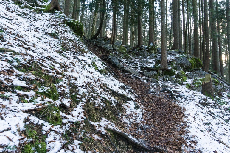 Steiler Aufstieg über Fels und Wurzeln im unteren Teil