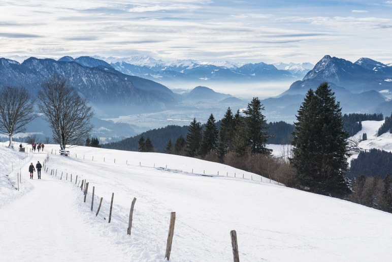 Toller Alpenblick von der Wildbichl-Alm