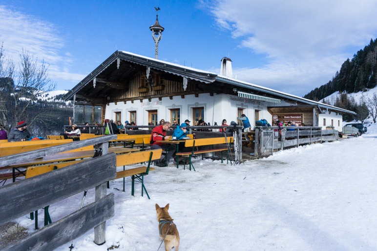 Nach einer Stunde erreichen wir die Wildbichl-Alm