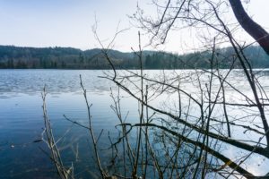 Ein Blick durch die noch kahlen Äste auf den See