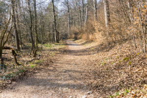 Auf dem Weg am Nordufer