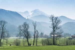 Bergblick zum Hochfelln vom Wiesenweg aus, auch wenn es etwas dunstig ist