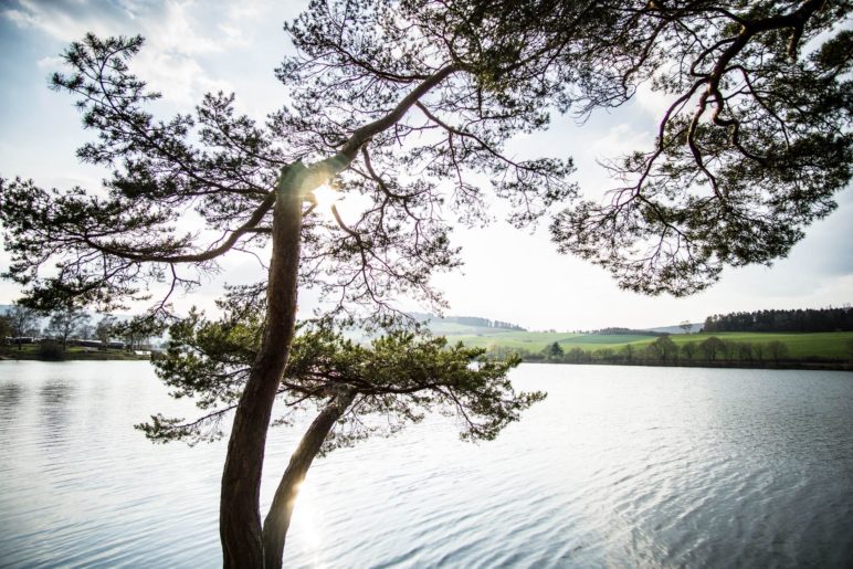 Auf der Liebesinsel am Diemelsee