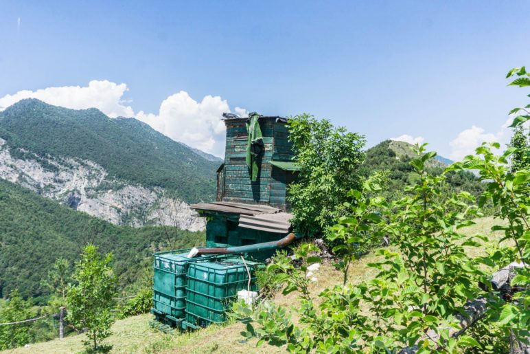 Wir passieren die grüne Hütte