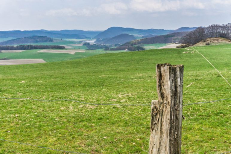 Wanderung über die Wiesen oberhalb des Diemelsees