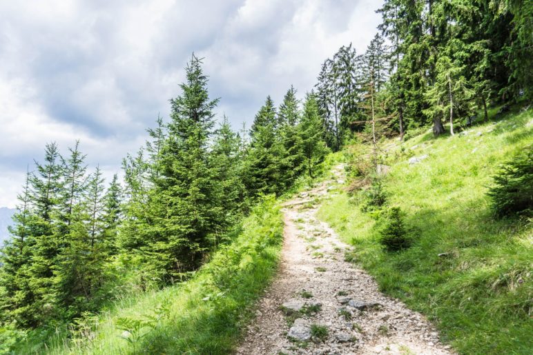 Ein schöner Bergsteig ist der Wanderweg 13 hoch zur Dalfazalm