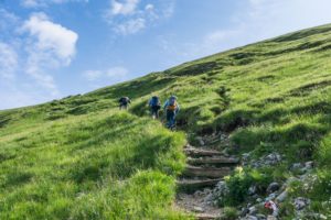 Aufstieg zum Streichkopfgatterl über einen Wiesenweg