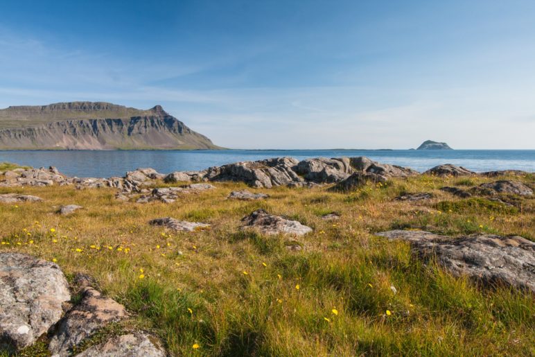 Die Fáskrúðsfjörður-Bucht an der Ostküste von Island