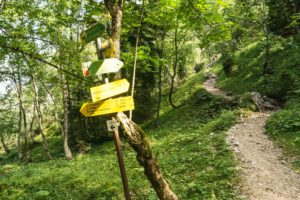 Der Abzweig zum Osterfelderkopf über die Rinderscharte