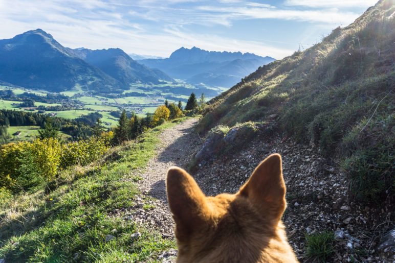 Unser Abstiegsweg führt über den schmalen Pfad am Hang entlang