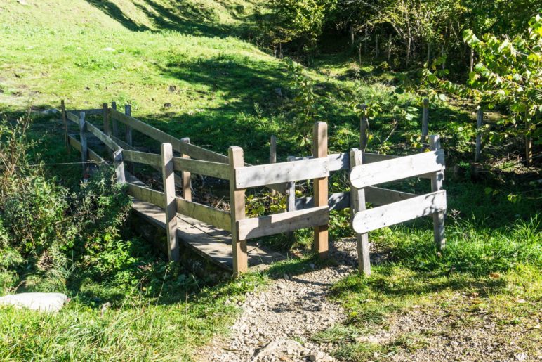 Die ungewöhnliche Brücke an der Frankenalm