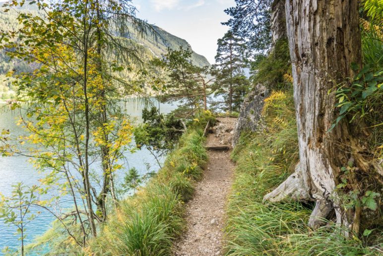 Auf dem Gaisalmsteig, nicht weit weg vom Nordufer des Achensees