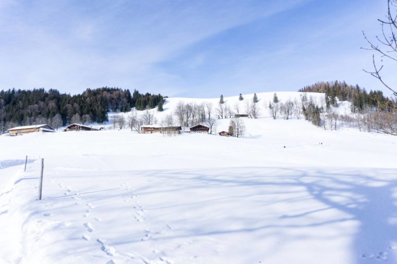 Winterwanderung zum Berggasthaus Hohe Asten