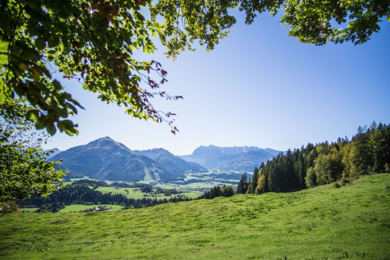 Noch einmal schönser ist der Blick von der Bank aus