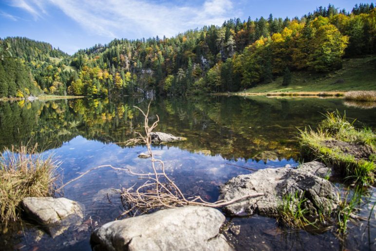 Das Ziel der Wanderung: Der malerische Taubensee