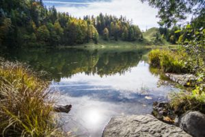 Der Taubensee, vom Nordostufer aus gesehen