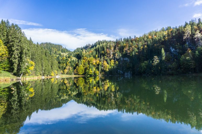 Am Taubensee