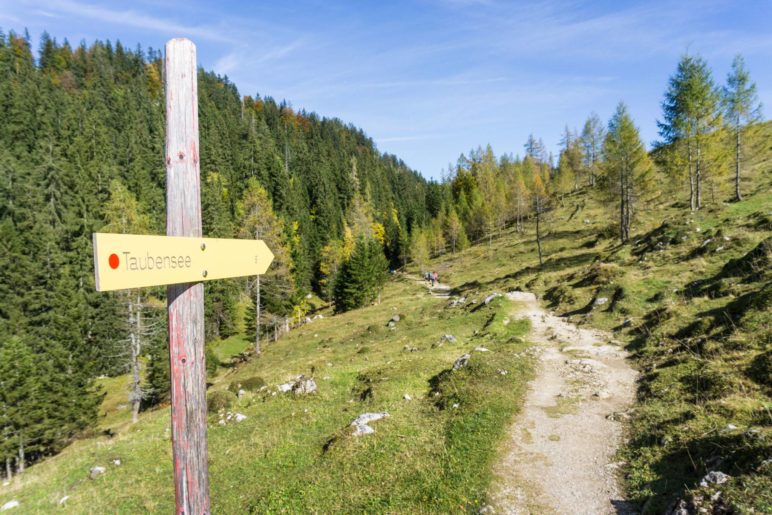 Auf dem Weg von der Hütte zum Taubensee