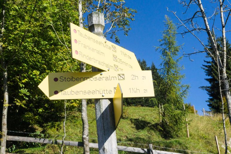 Oberhalb des Parkplatzes nehmen wir den Weg nach rechts zur Rinderbrachalm