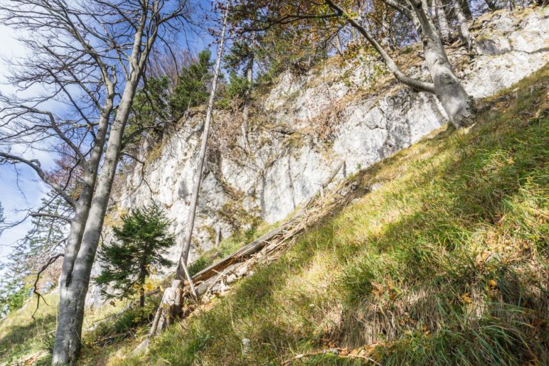 Eine markante Felswand im Aufstieg zum Wildbarren