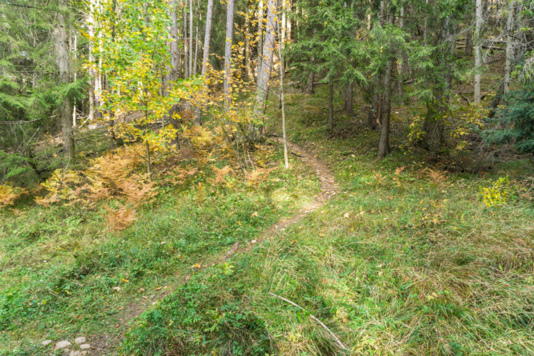 Weg vom Fahrweg und auf dem schmalen Bergsteig