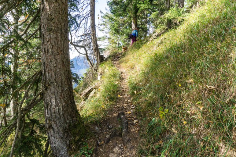 Mal durch den Wald, dann wieder im offeneren Gelände verläuft der Steig