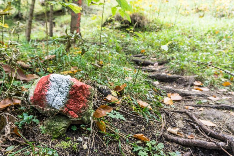 Wegmarkierung im Abstieg vom Wildbarren