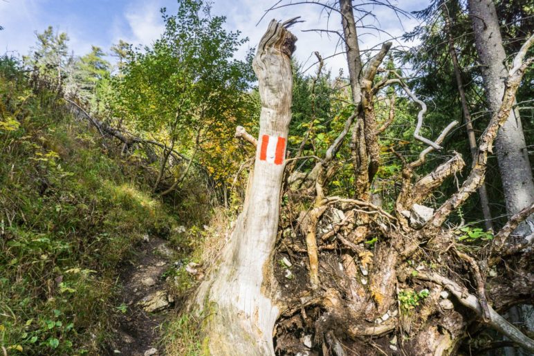 Auf dem wilden Steig hinauf zum Wildbarren