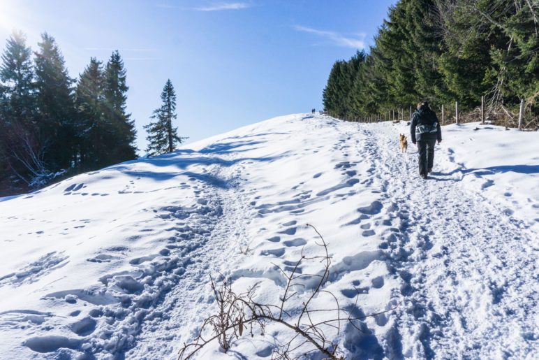 Gehen wir erst zum Gipfel oder gleich zur Stoißer Alm?