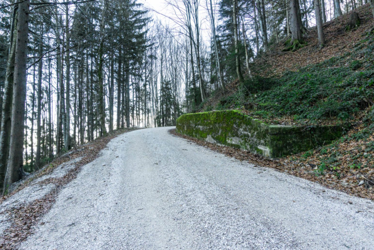 Der breite Aufstiegsweg auf der Nordseite des Teisenbergs