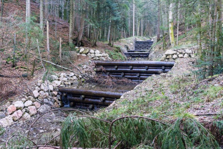 Solche und gemauerte Stufen im Bach werden wir auf der Wanderung mehrfach sehen