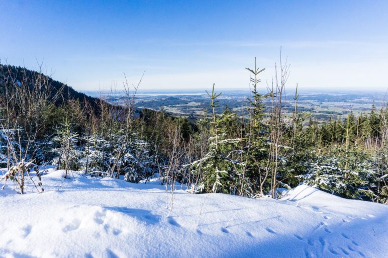 Ein Blick auf den Chiemsee und das Voralpenland