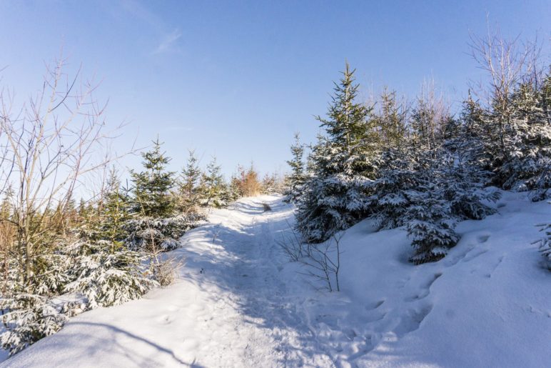 Endlich: Wir wandern in den Sonnenscheine