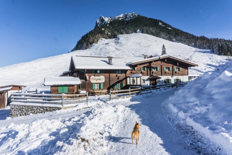 Die Ritzau-Alm. Oberhalb sieht man die Naunspitze und im Wald auch die Vorderkaiserfeldenhütte