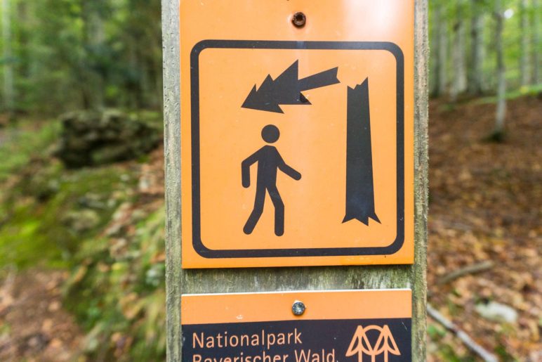 Das Warnschild weist eindrücklich darauf hin, dass wir im naturbelassenen Wald wandern