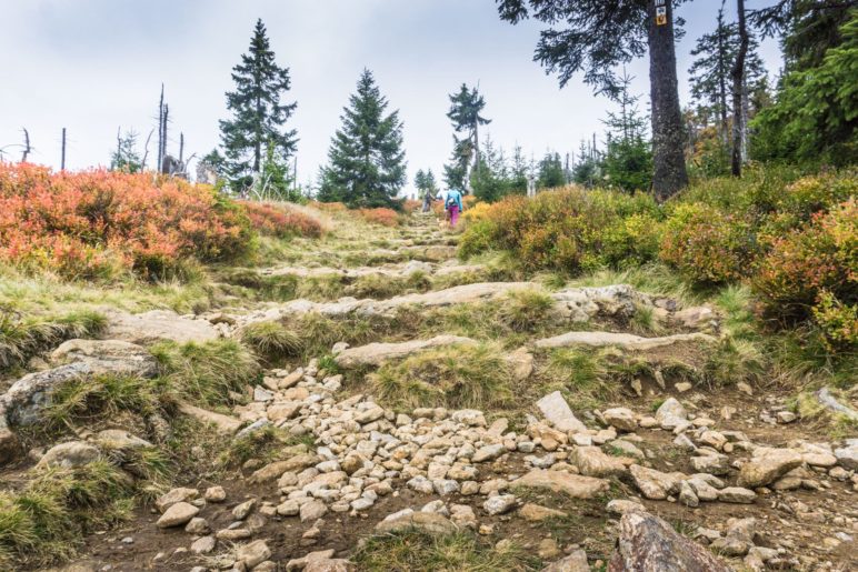 Auf dem Weg zum Gipfel des Rachel