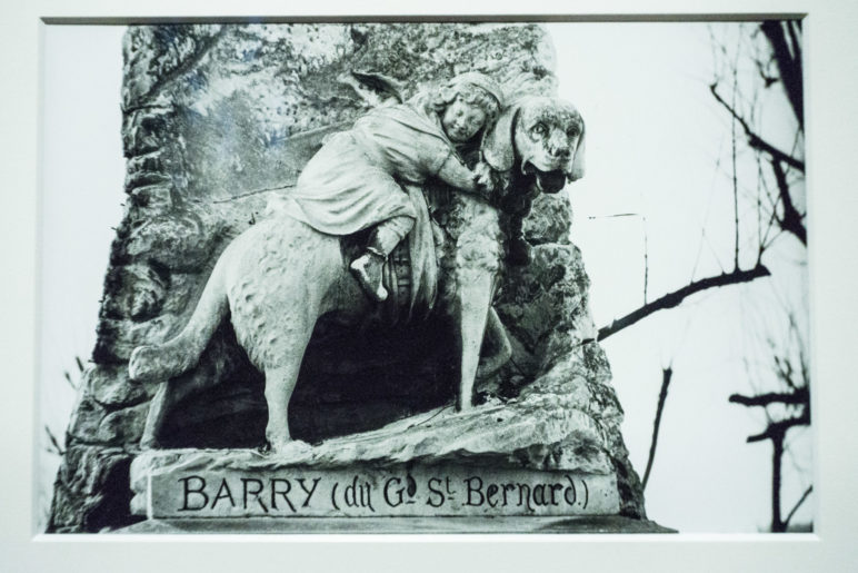 Das Denkmal für Barry vom Hospiz auf dem Grossen St. Bernhard