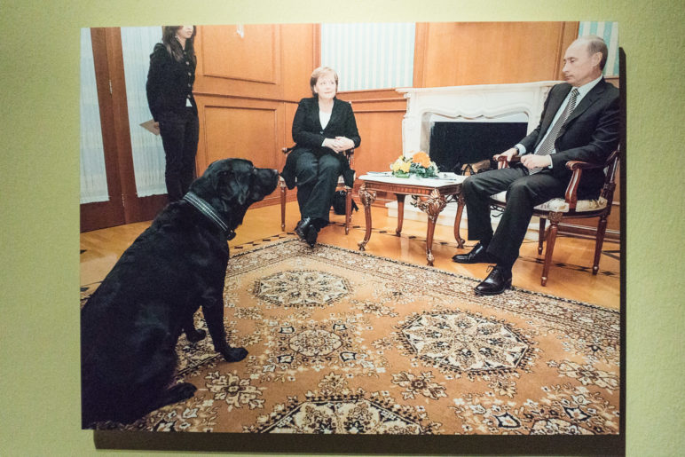 Merkel, Putin und ein Labrador