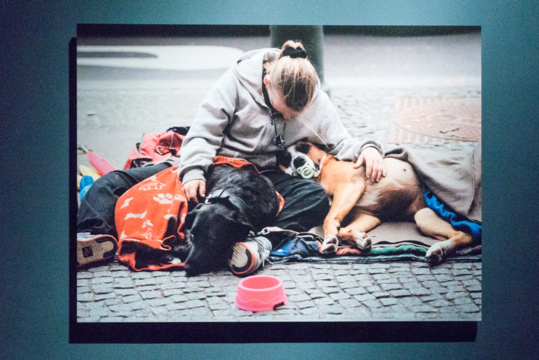 Der Hund als letzter Gefährte, wenn man auf der Straße lebt