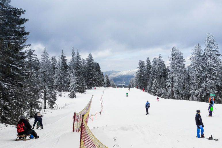 Die Rodelbahn verläuft direkt neben der Skipiste