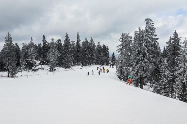 Skipiste und Rodelbahn am Arber