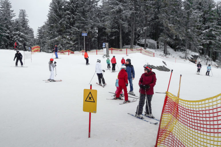 Erst müssen wir die Skipiste kreuzen, dann sind wir am Start der Rodelbahn