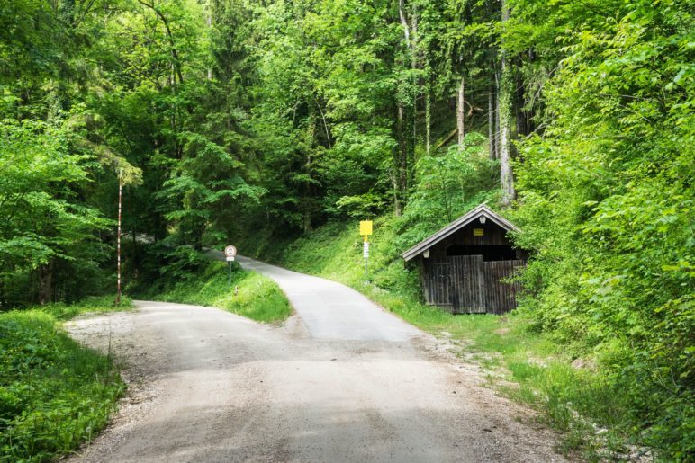 Auf dem linken Weg geht die Wanderung weiter