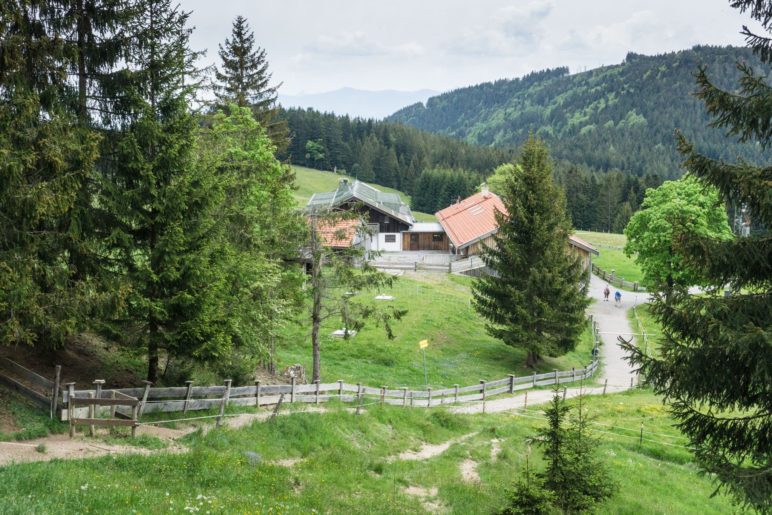 Die Schwarzenberg-Alm vom Gipfelweg aus gesehen