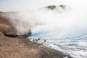 Am Austritt des heißen Wassers in den See