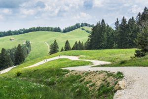 Ungefähr am höchsten Punkt der Wanderung: Jetzt geht es bergab über die Almwiesen am Breitenberg